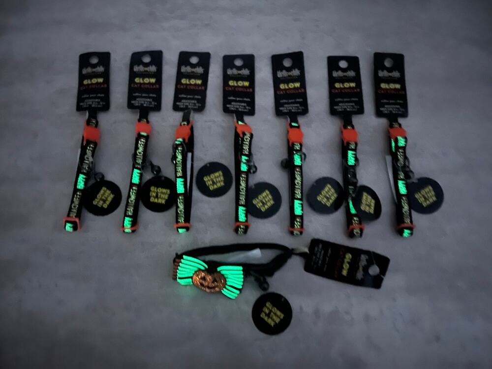 Lot of 8 Thrills & Chills Halloween Cat Collars Glow in the Dark Sz 8-12 w/ Bell
